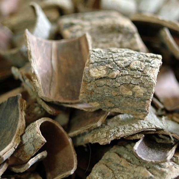 1469584893 thumbnail