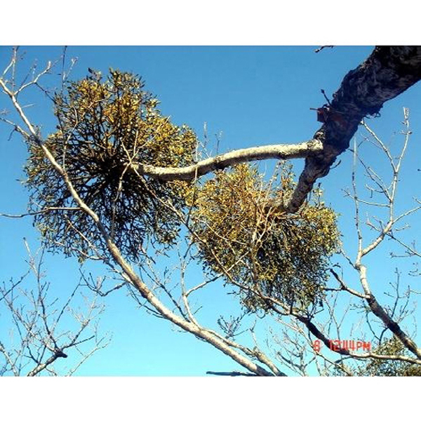 1469585481 thumbnail