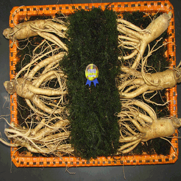 1469760687 thumbnail