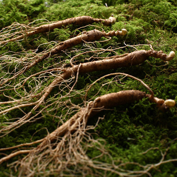 1470704544 thumbnail