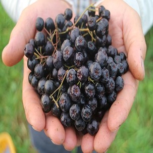 1516343529 thumbnail