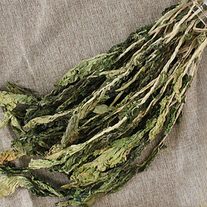 1522300801 thumbnail