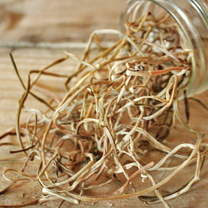 1522300819 thumbnail