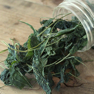 1522300864 thumbnail