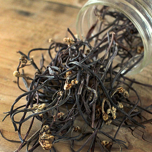 1522300951 thumbnail