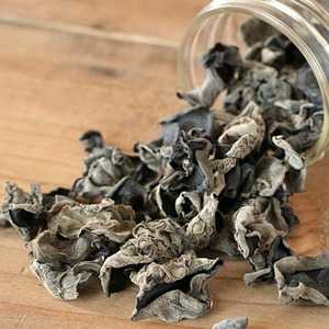 1522301029 thumbnail