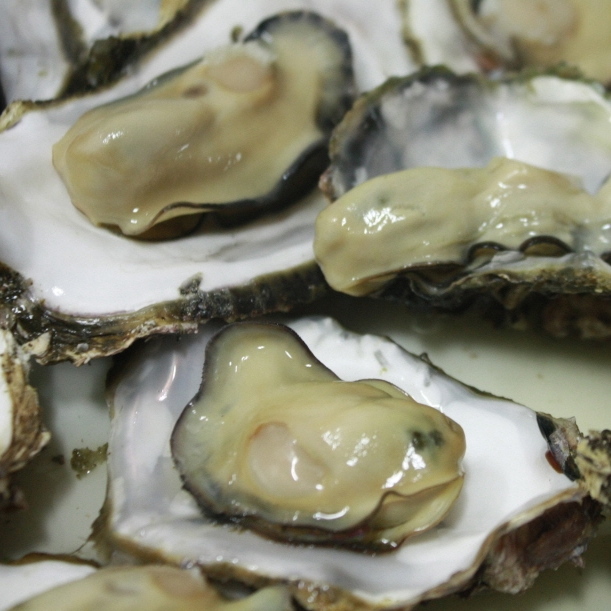 1542853395 thumbnail