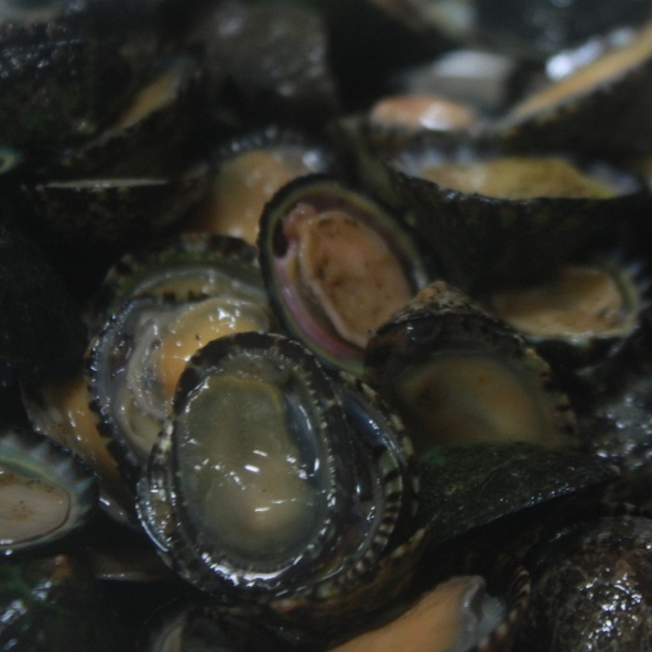 1542853457 thumbnail