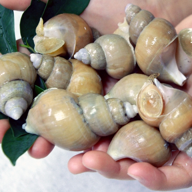 1542853769 thumbnail