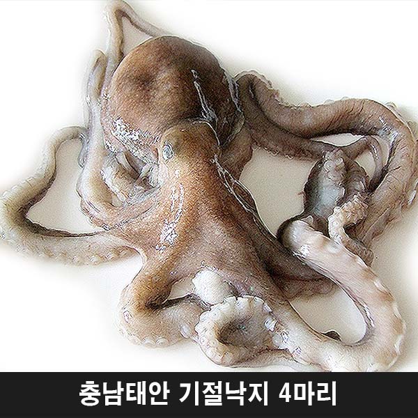 1544427067 thumbnail