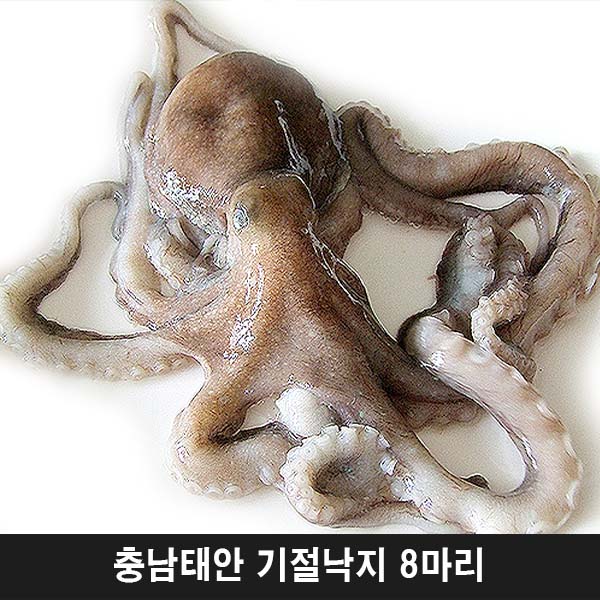 1544427097 thumbnail