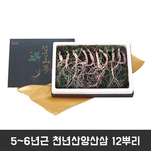 1545117650 thumbnail