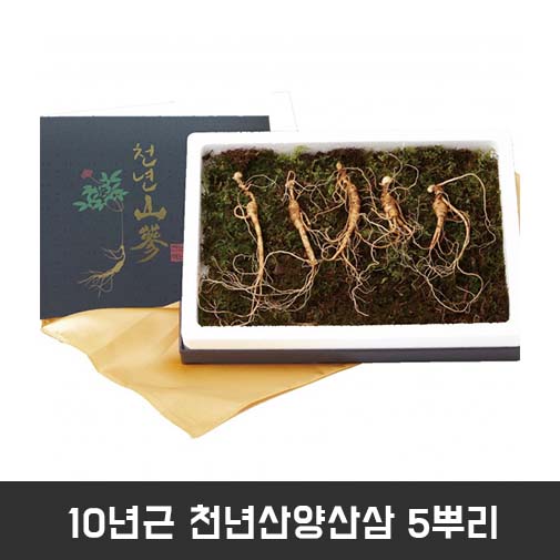 1545117675 thumbnail