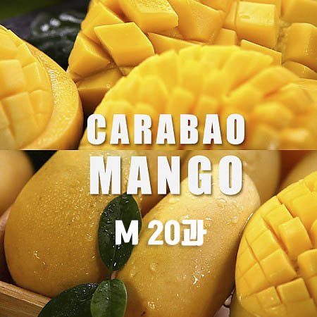 1551778287 thumbnail