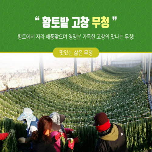 1554355532 thumbnail