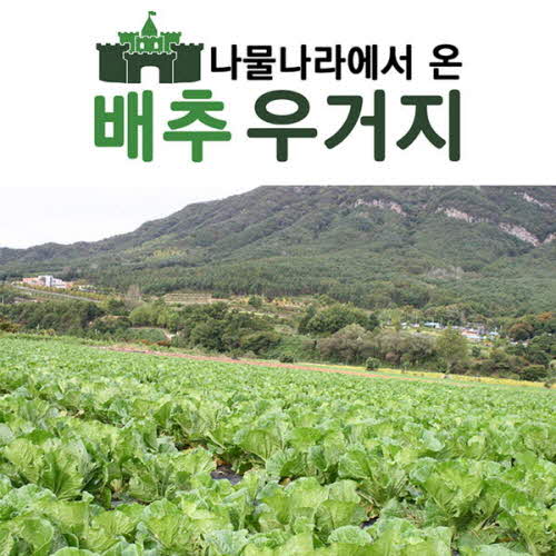 1554355546 thumbnail