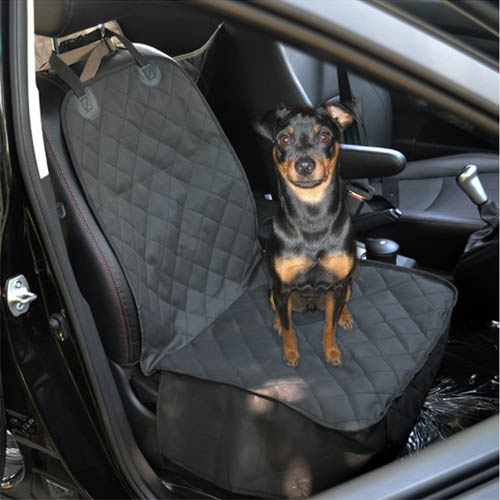 1555310331 thumbnail