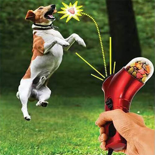 1555310507 thumbnail