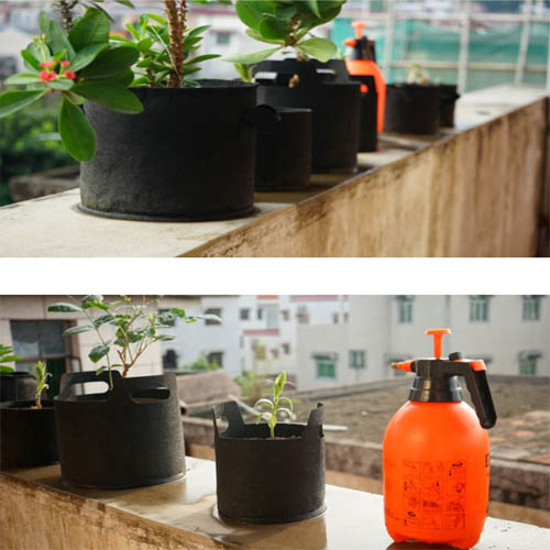 1555396846 thumbnail