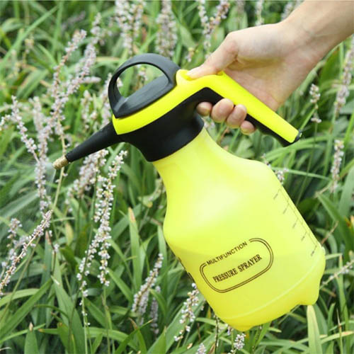 1555397002 thumbnail