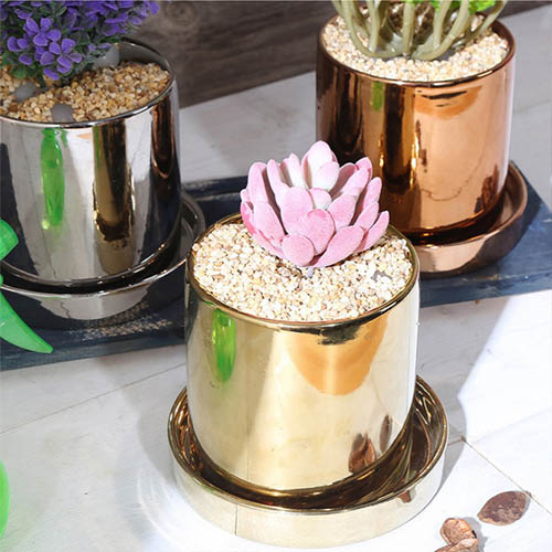 1555471233 thumbnail