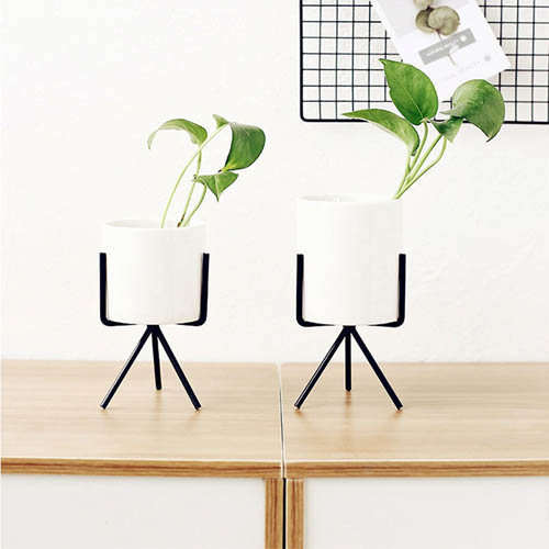 1555471326 thumbnail