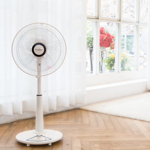 1555484114 thumbnail