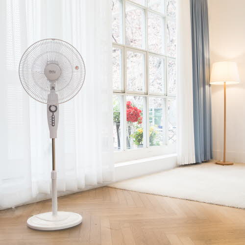 1555484194 thumbnail