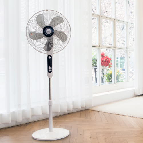 1555484213 thumbnail