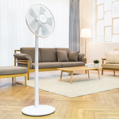 1555484233 thumbnail