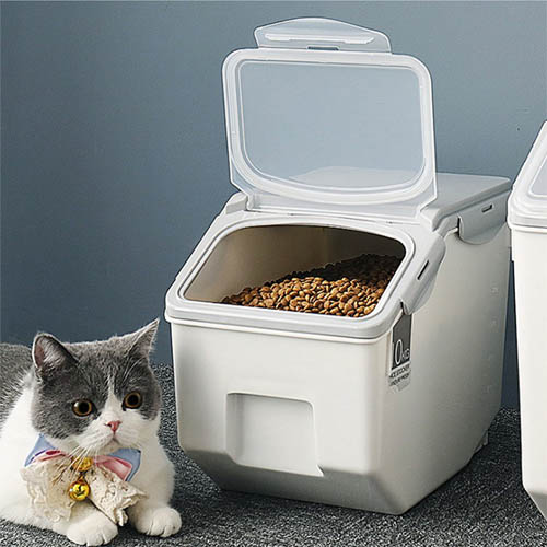 1555556588 thumbnail