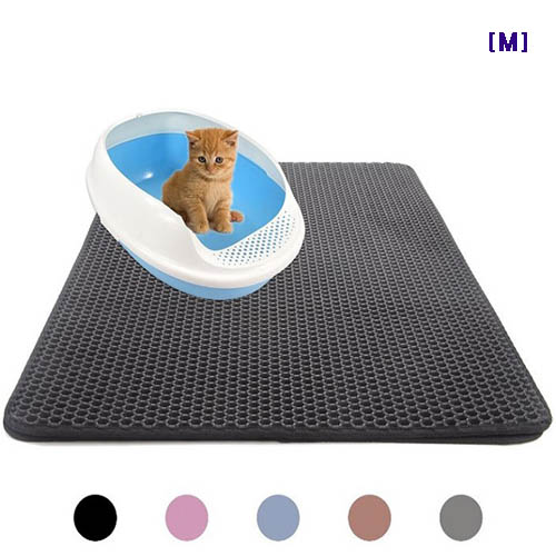 1555640529 thumbnail