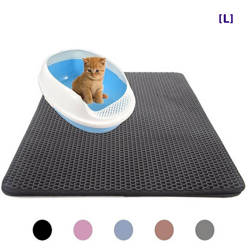 1555640557 thumbnail