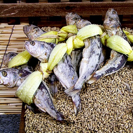 1555999412 thumbnail