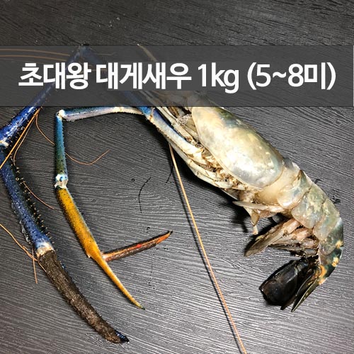 1556082629 thumbnail