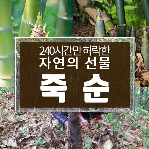 1556607332 thumbnail