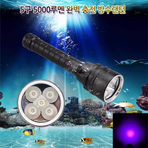 1557813951 thumbnail