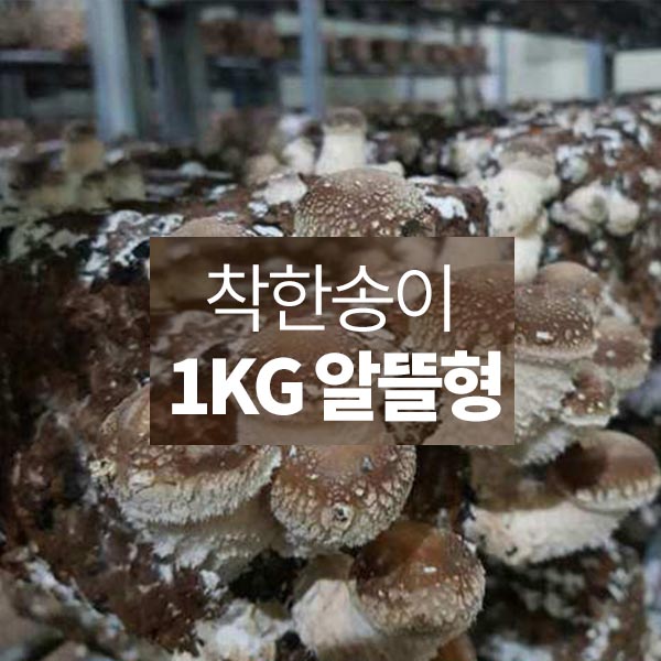 1557990967 thumbnail