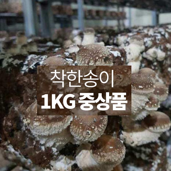 1557990972 thumbnail