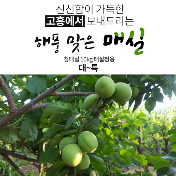 1558405488 thumbnail