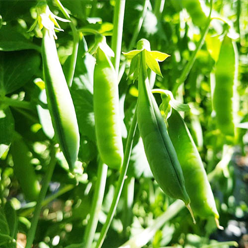 1558588976 thumbnail