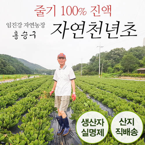 1558589388 thumbnail