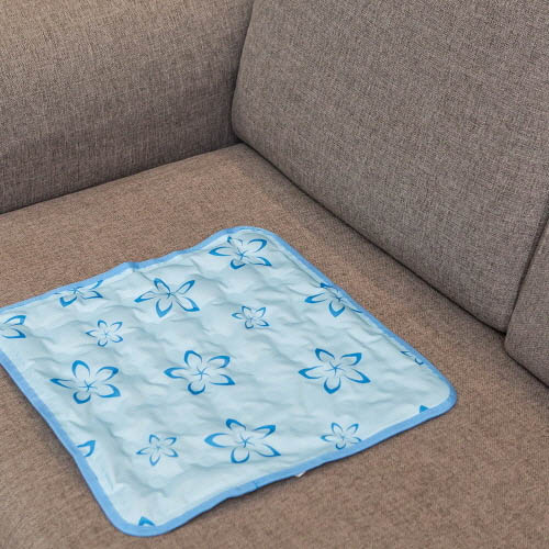 1558673518 thumbnail