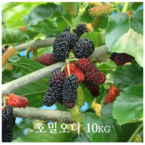 1558939462 thumbnail