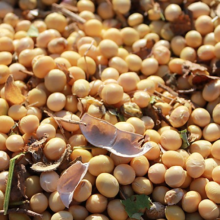 1559177947 thumbnail