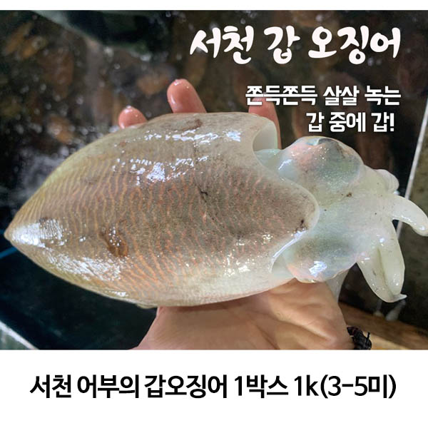 1561624080 thumbnail