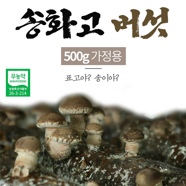 1562223017 thumbnail