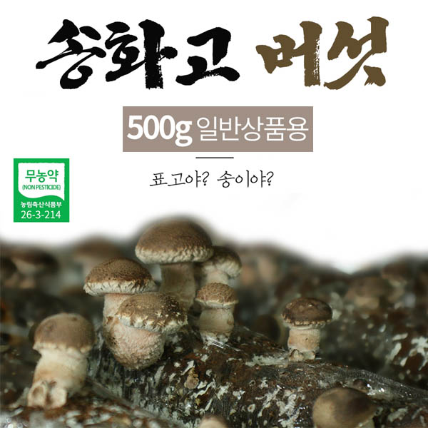 1562223044 thumbnail