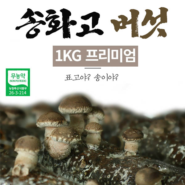 1562223075 thumbnail