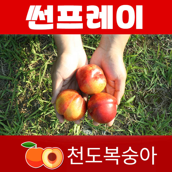 1562223092 thumbnail